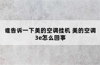 谁告诉一下美的空调挂机 美的空调3e怎么回事